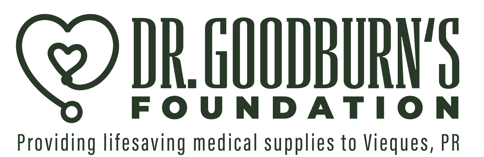 NUEVO logo DRGB fundation-02