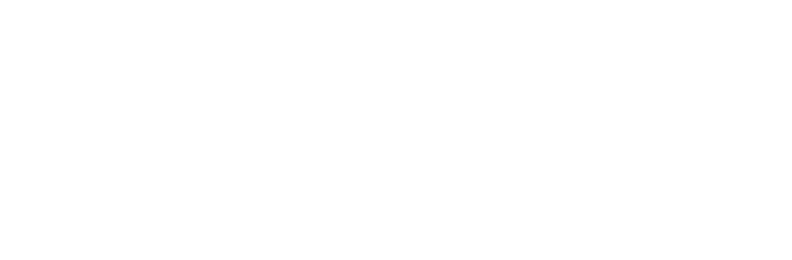 logo DRGB fundation_blanco